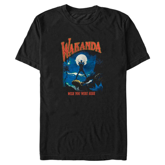 Men's Marvel Visit Wakanda T-Shirt